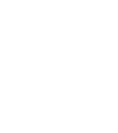 De Duurzame Jongens Logo
