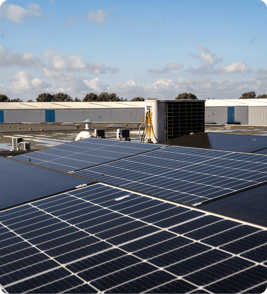 professionele zonnepanelen in Venray kopen